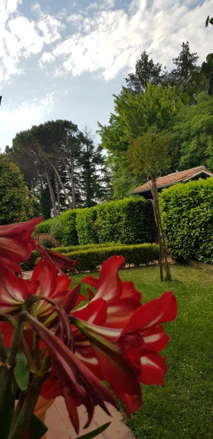 La Casa Di Gigliola Vila Monticiano Exterior foto